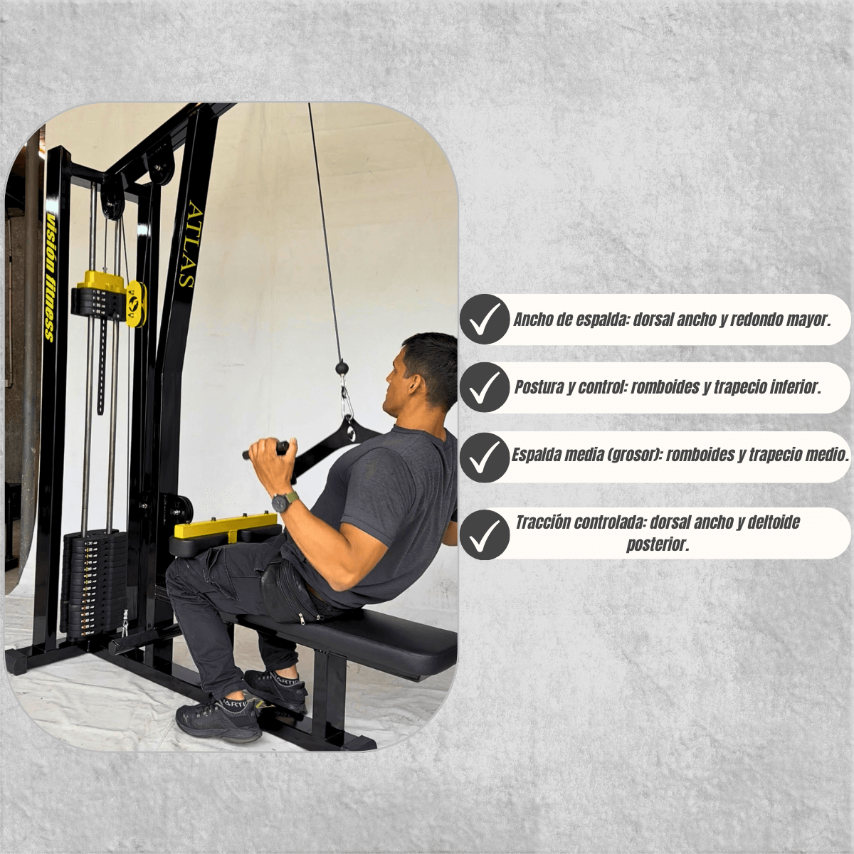 Polea Dual Alta y Baja 100 kg